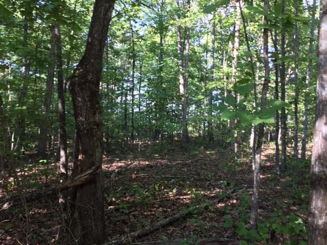 27 Jackson Point Road, Unit 27 Sewanee, TN 37375 - Photo 3 of 12 IMG_2144