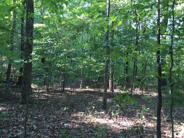 27 Jackson Point Road, Unit 27 Sewanee, TN 37375 - Photo 6 of 12 IMG_2149