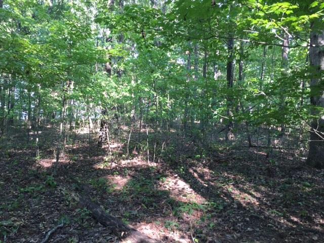 27 Jackson Point Road, Unit 27 Sewanee, TN 37375 - Photo 7 of 12 IMG_2150
