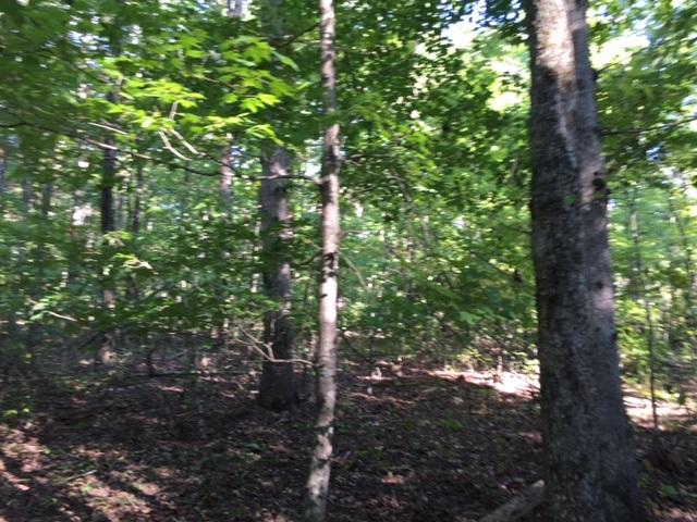27 Jackson Point Road, Unit 27 Sewanee, TN 37375 - Photo 8 of 12 IMG_2151