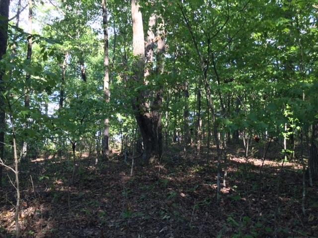 27 Jackson Point Road, Unit 27 Sewanee, TN 37375 - Photo 10 of 12 IMG_2156