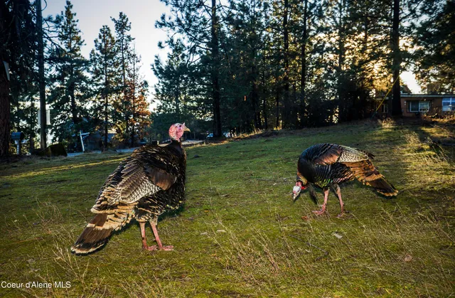 $249,000 | Nna East Fernan Hill Road, Coeur D'Alene, ID 83814