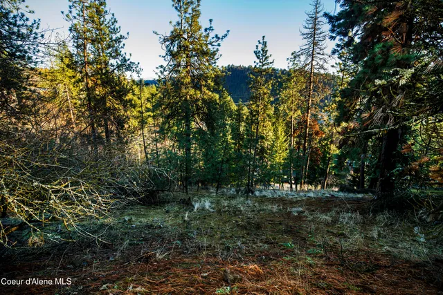 $249,000 | Nna East Fernan Hill Road, Coeur D'Alene, ID 83814