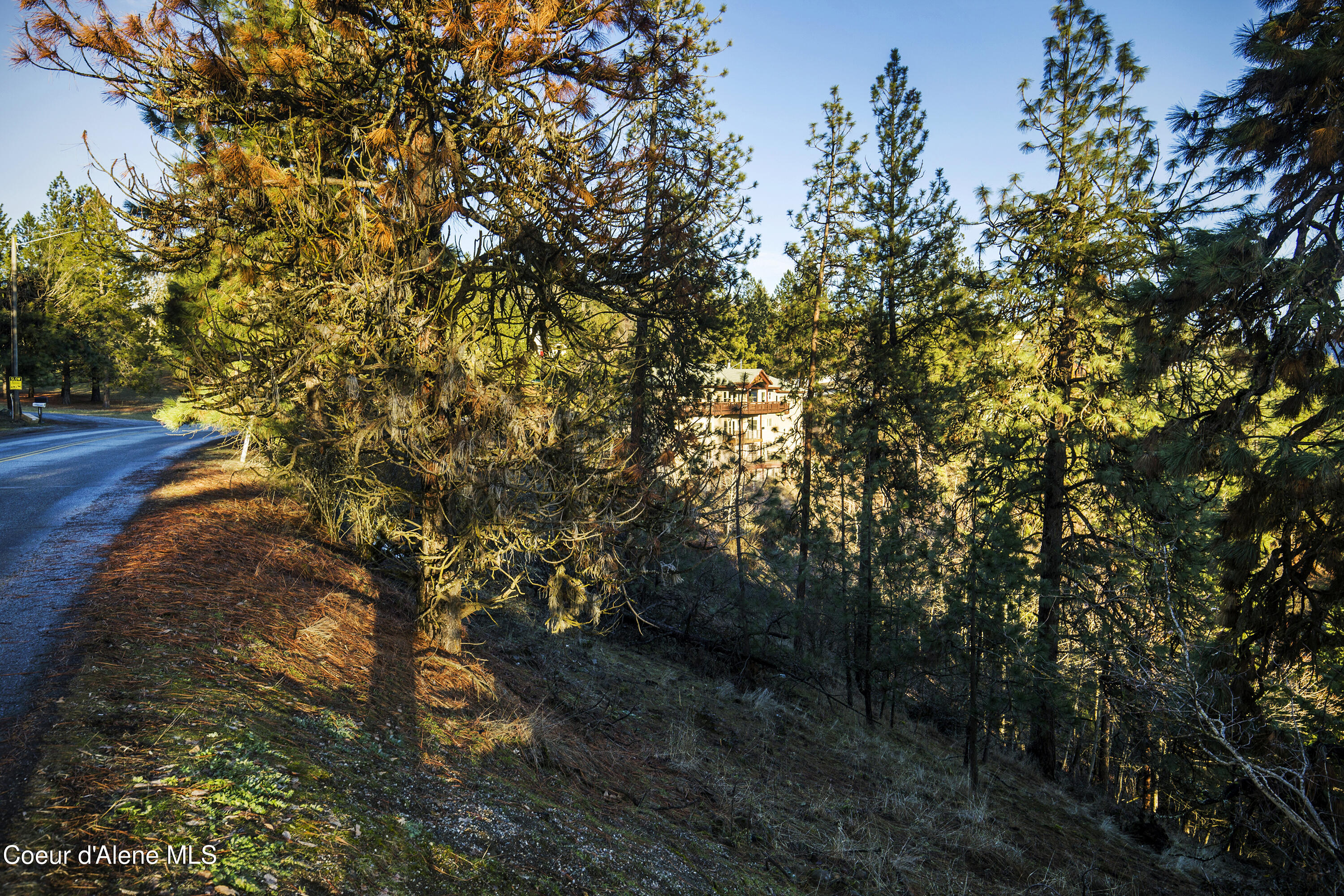 Nna East Fernan Hill Road Coeur D'Alene, ID 83814 - Photo 6 of 14 EFHR_03