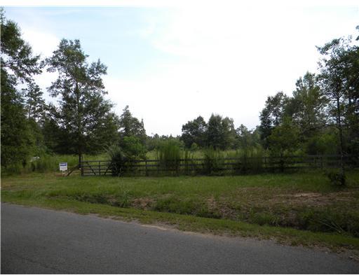 0 Reid Road Loranger, LA 70446 - Photo 1 of 1 Gallery Image 1
