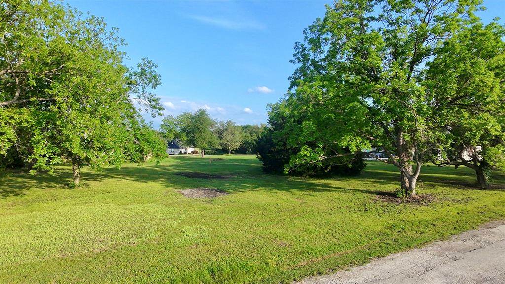 Lot 71 Shoreline Road Kerens, TX 75144 - Photo 15 of 24 a view of a park