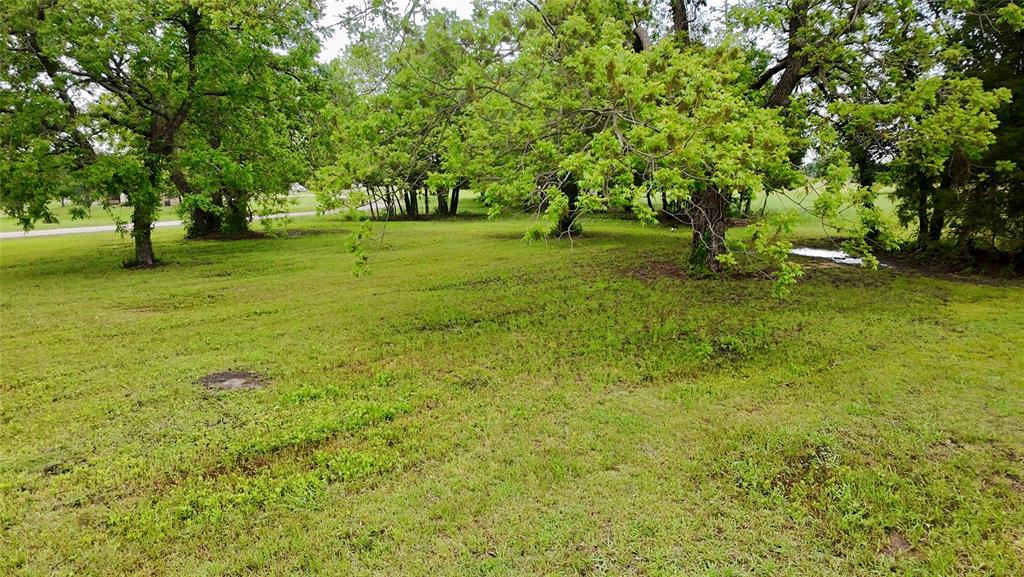 Lot 71 Shoreline Road Kerens, TX 75144 - Photo 21 of 24 a view of park with trees