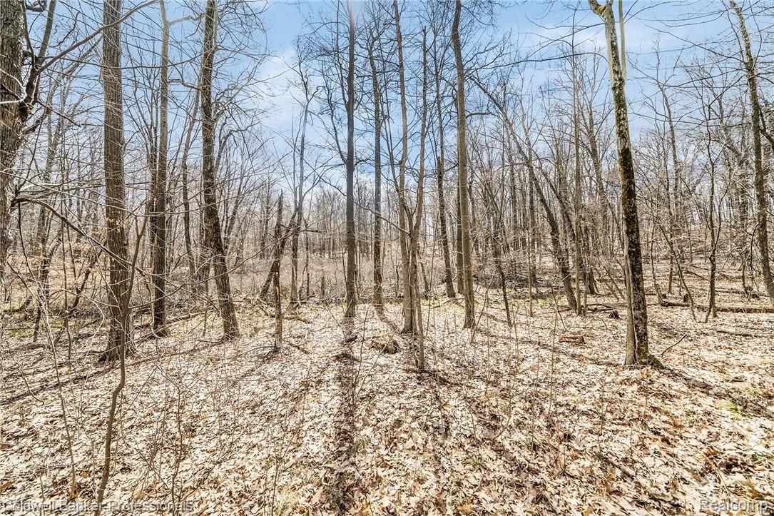 5650 Hosner Road Oxford, MI 48370 - Photo 35 of 41 Sample-NDP_68.jpg
