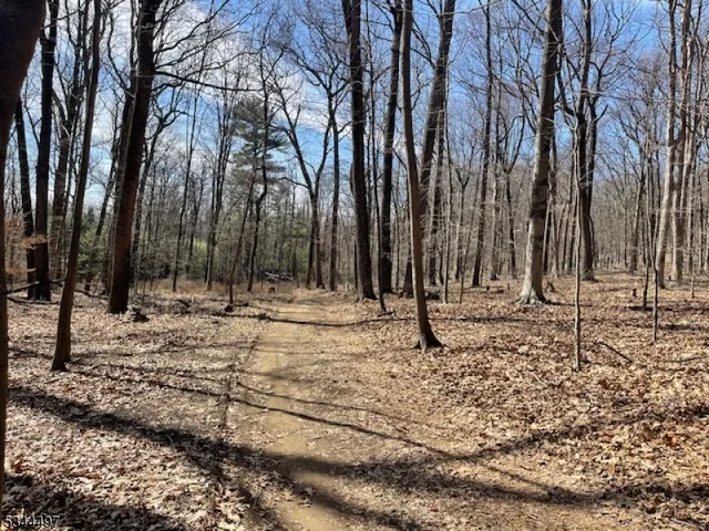 $2,990,000 | 5 Calais Road, Mendham, NJ 07945