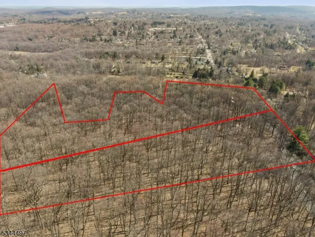 a backyard of a house with lots of trees