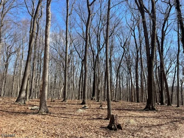 a backyard of a house with lots of trees