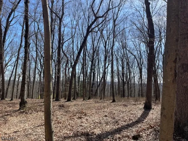 a view of a backyard with large trees