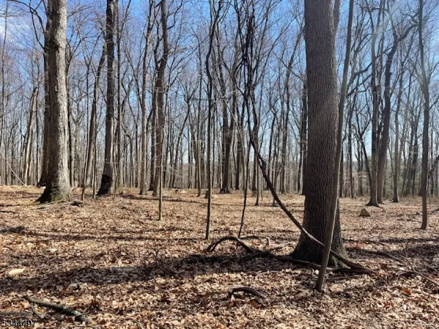 a black and white photo of a sky