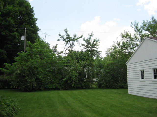 405 Reed Avenue Marion, OH 43302 - Photo 5 of 9 Gallery Image 5