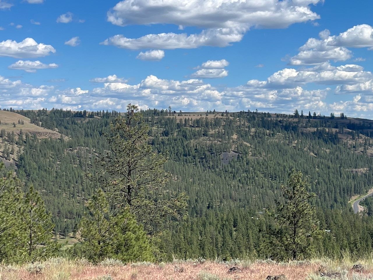 31805 Ruffed Grouse Drive Davenport, WA 99122 - Photo 5 of 23