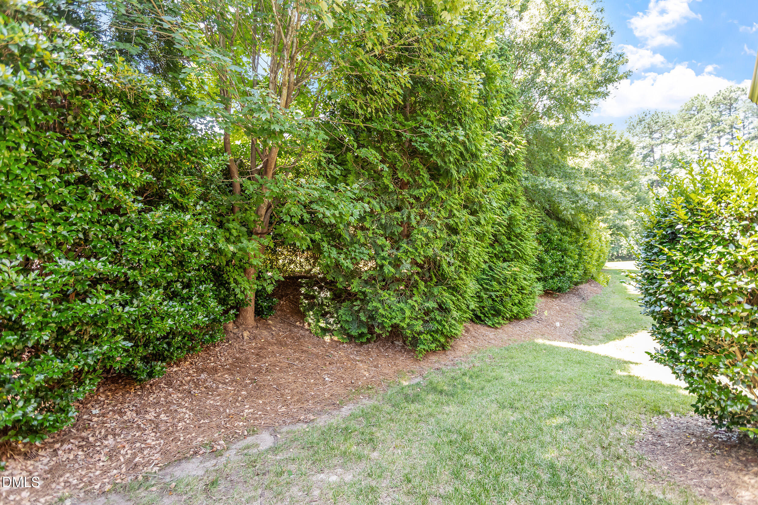 3147 Rapid Falls Road Cary, NC 27519 - Photo 33 of 34 a view of a garden with plants