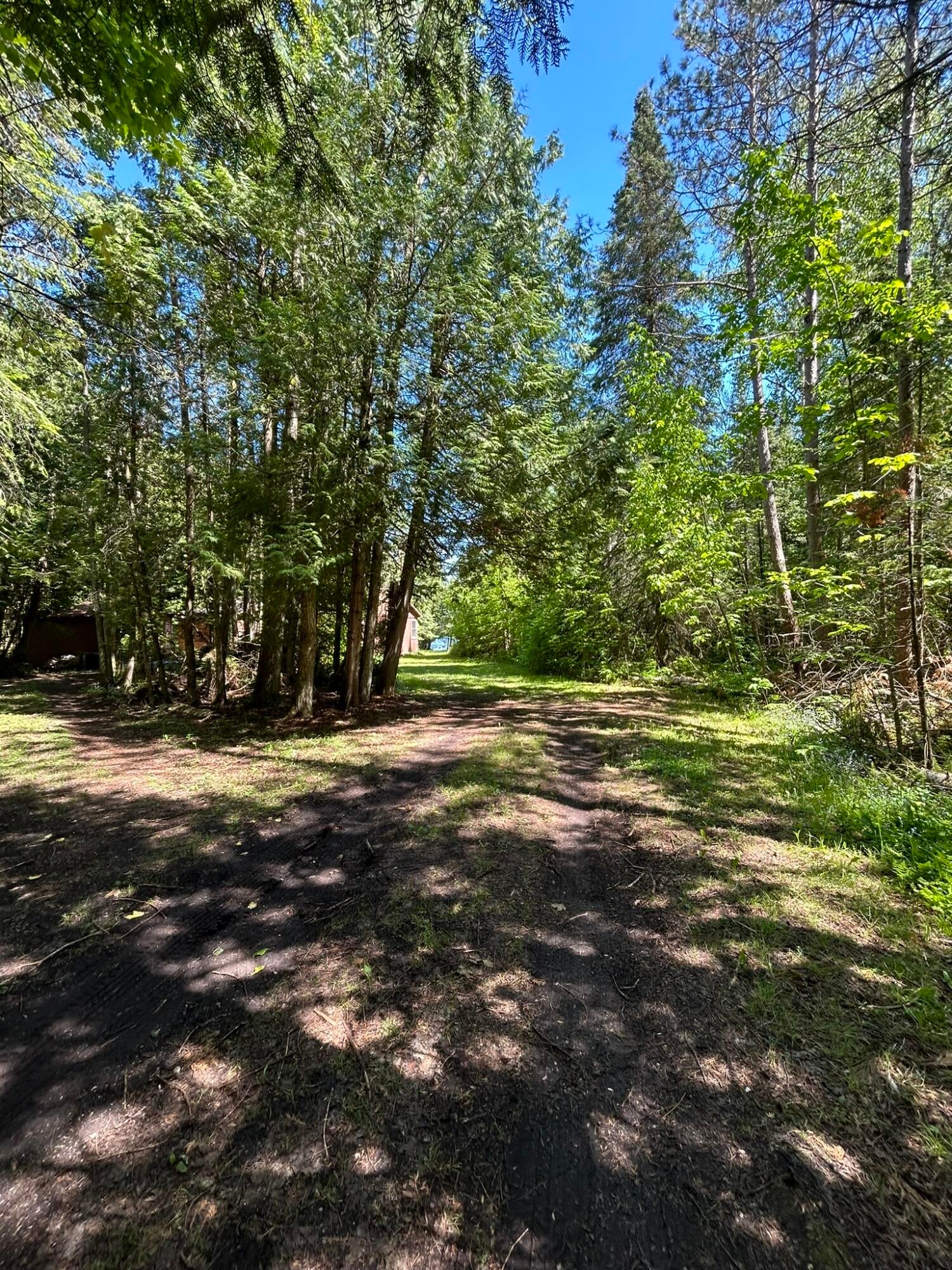 4241 North Government Road Moran, MI 49760 - Photo 26 of 54