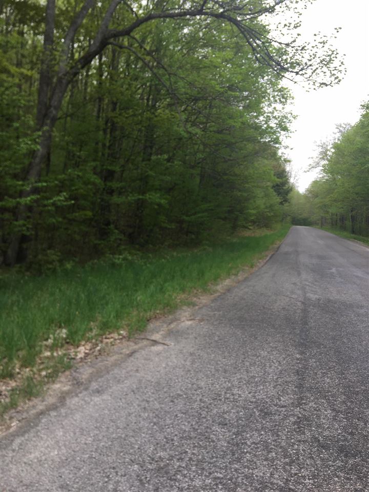 Morris Road East Jordan, MI 49727 - Photo 3 of 7 1887765-2.JPG