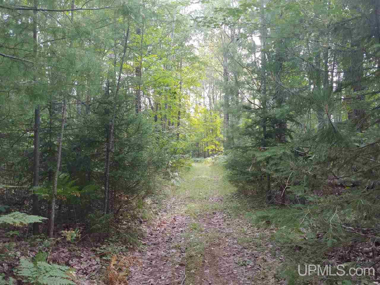 42-acres 42-acres Co Road Ishpeming, MI 49849 - Photo 14 of 16