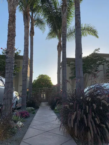 a view of a park with palm trees