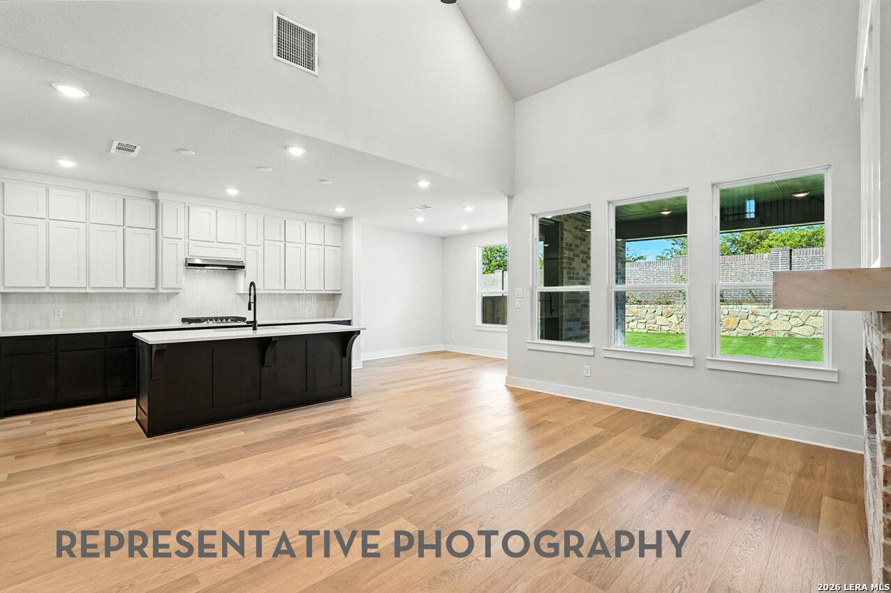 113 Corazon Boerne, TX 78006 - Photo 8 of 23