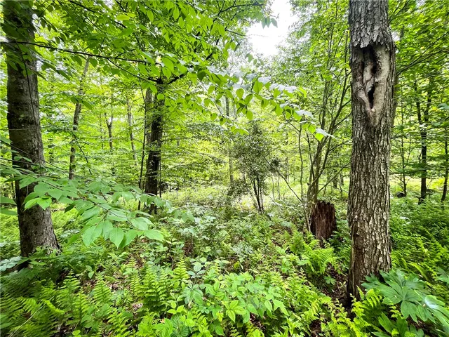 $179,900 | 38 South Vanderkarr Road South, Barton, NY 13734