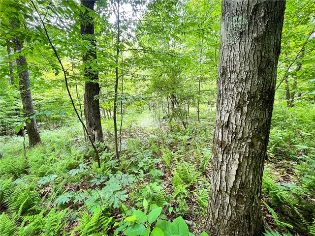 $179,900 | 38 South Vanderkarr Road South, Barton, NY 13734