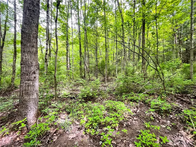 $179,900 | 38 South Vanderkarr Road South, Barton, NY 13734