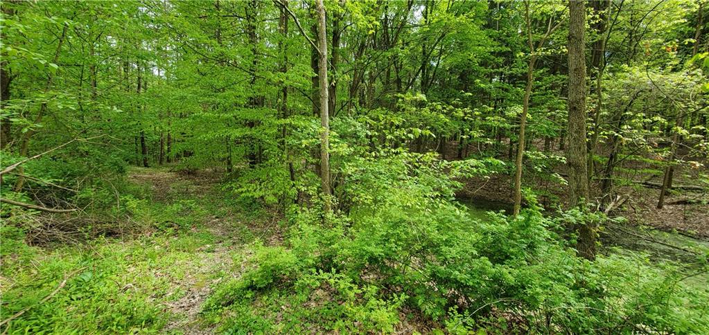 4971 Matthews Road Edinburg, PA 16116 - Photo 23 of 25
