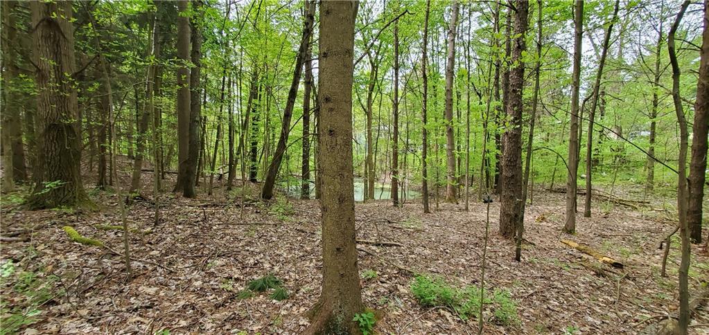 4971 Matthews Road Edinburg, PA 16116 - Photo 25 of 25