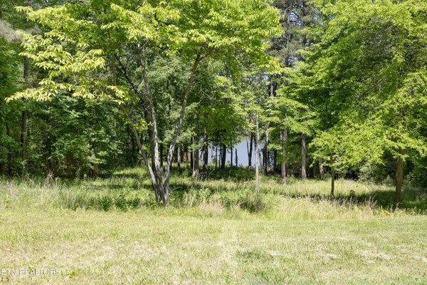 $65,000 | 772 Wood Duck Drive, Vonore, TN 37885