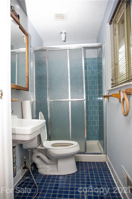 3307 Piney Grove Road Charlotte, NC 28212 - Photo 12 of 48 a bathroom with a toilet a sink and a shower
