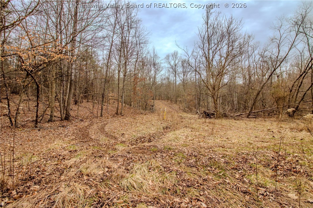 0 Evansview Road Evans, WV 25241 - Photo 6 of 41 Gallery Image 6
