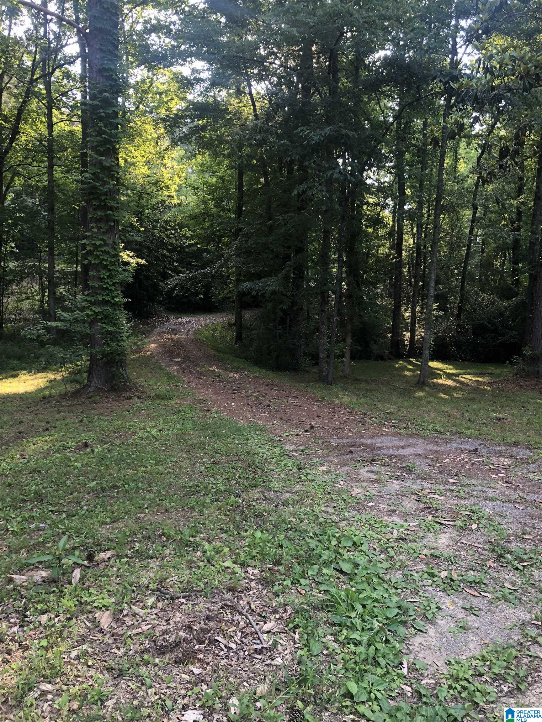 1386 Camp Winnataska Road, Unit 2 Pell City, AL 35128 - Photo 2 of 3