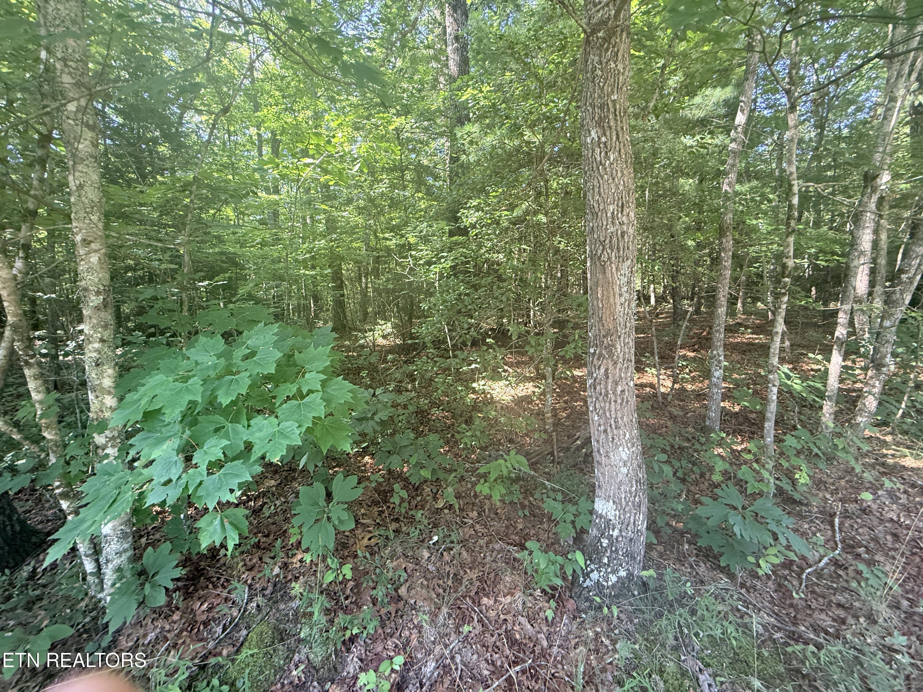 390 Georgee Road Jamestown, TN 38556 - Photo 13 of 14 IMG_8596