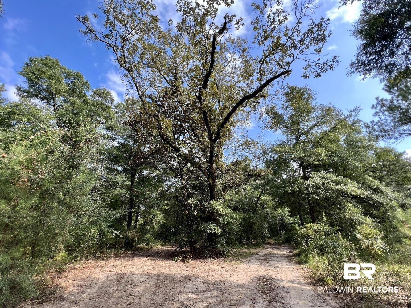 0 Bear Fork Road Mobile, AL 36618 - Photo 4 of 50