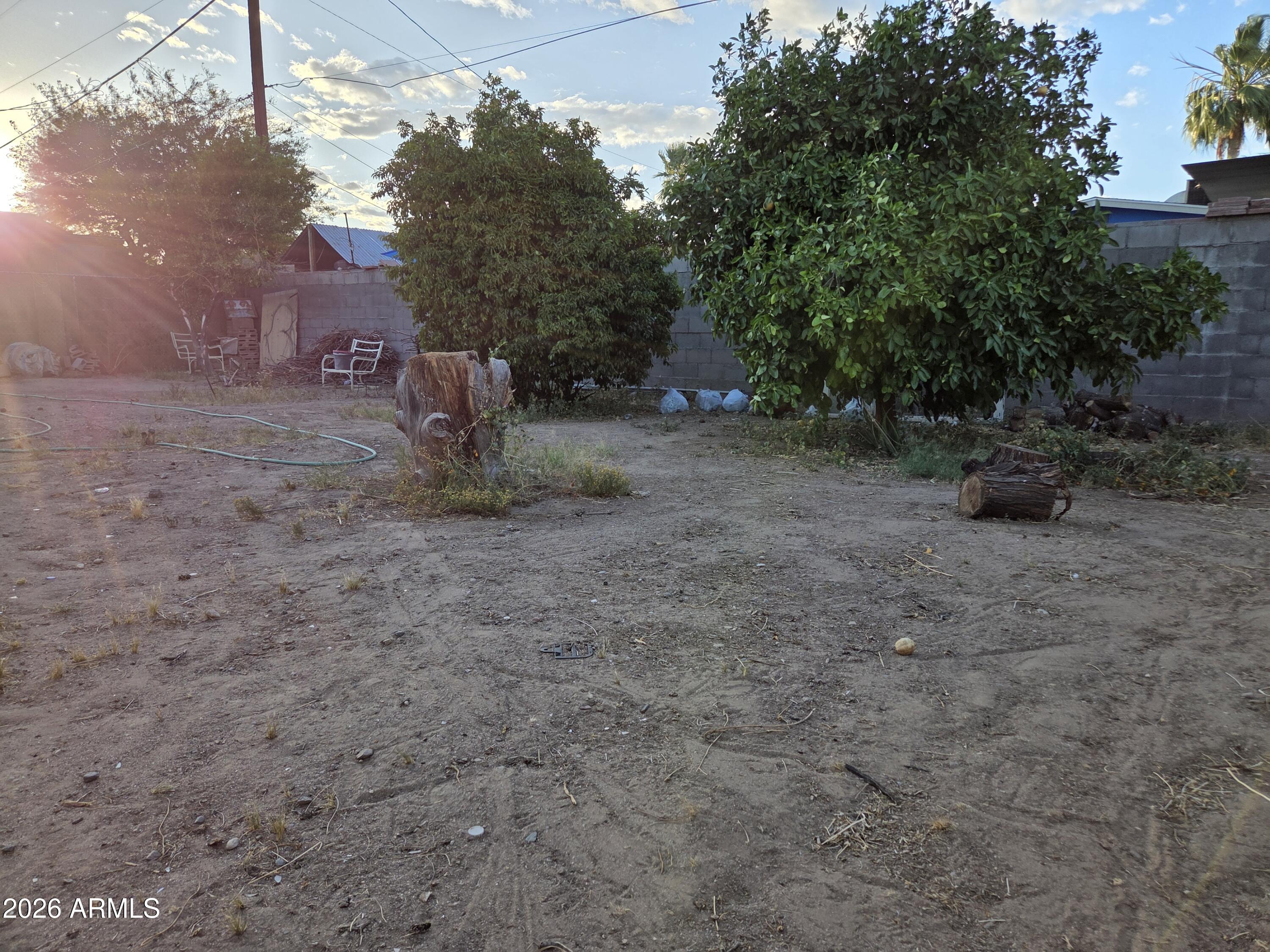 11930 West River Road El Mirage, AZ 85335 - Photo 7 of 17 backyard