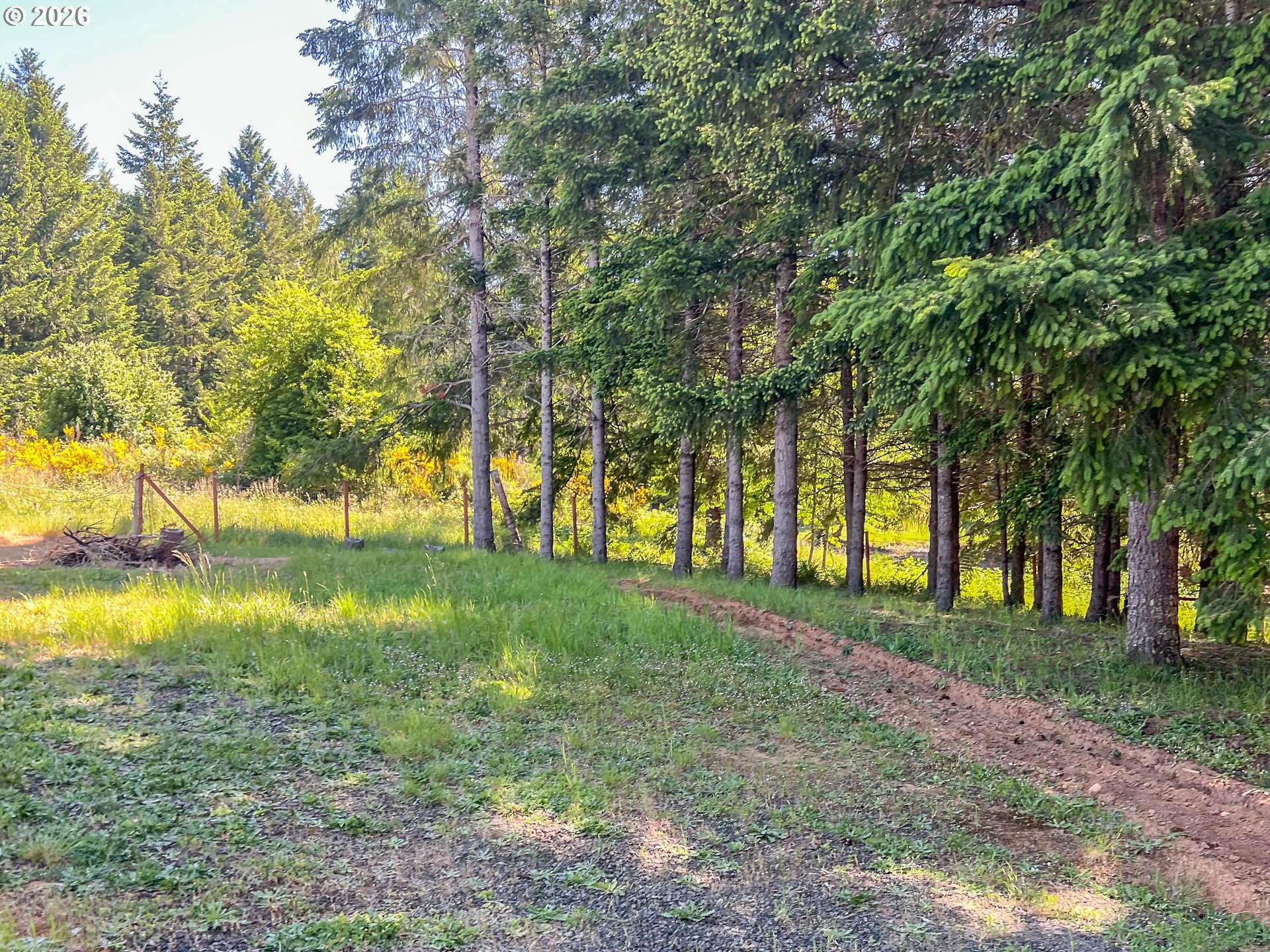 863 C Street Elkton, OR 97436 - Photo 2 of 7 a view of backyard with green space
