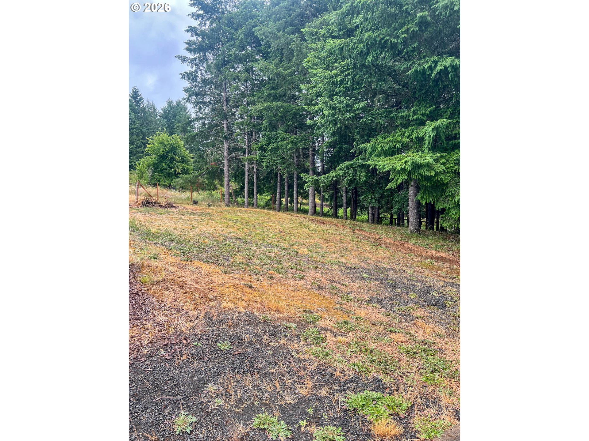 863 C Street Elkton, OR 97436 - Photo 3 of 7 a view of a yard with a trees