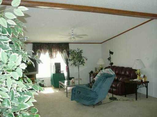 725 Magnolia Park Road Colfax, LA 71417 - Photo 4 of 6 Gallery Image 4