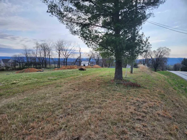 a view of a big yard with large trees