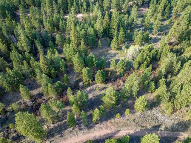 $195,000 | Lot 31 Trail Creek, Idaho City, ID 83631