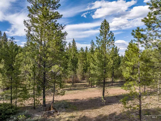 $195,000 | Lot 31 Trail Creek, Idaho City, ID 83631