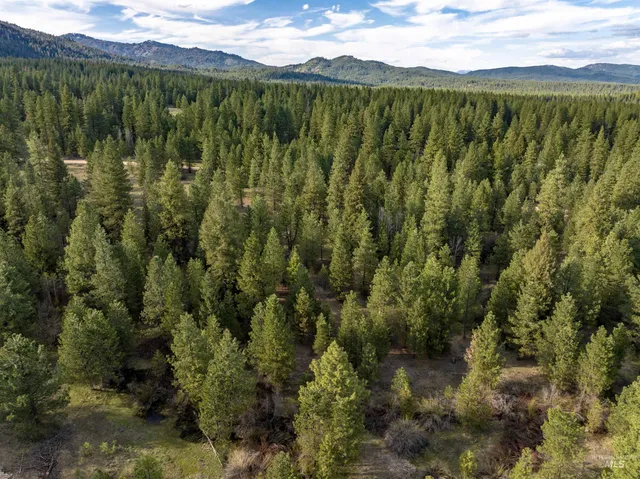 $195,000 | Lot 31 Trail Creek, Idaho City, ID 83631