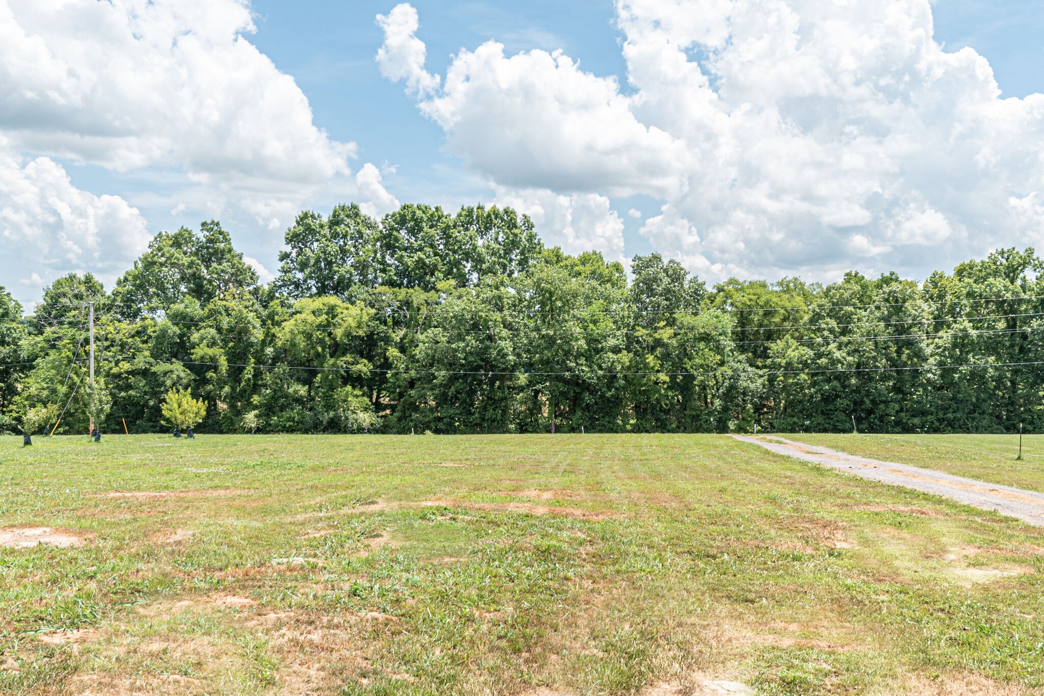 1055 Brummitt Road Castalian Springs, TN 37031 - Photo 3 of 28 Gallery Image 3