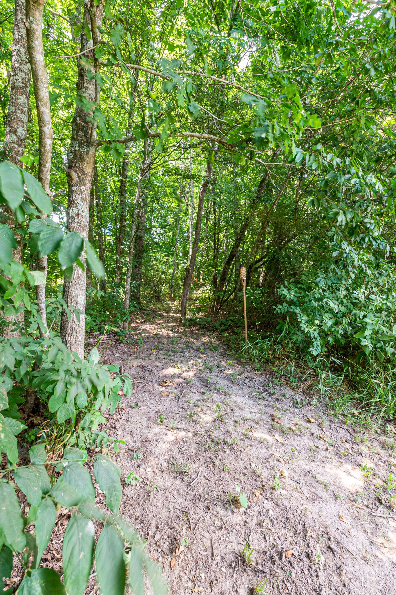 1055 Brummitt Road Castalian Springs, TN 37031 - Photo 25 of 28 Gallery Image 25