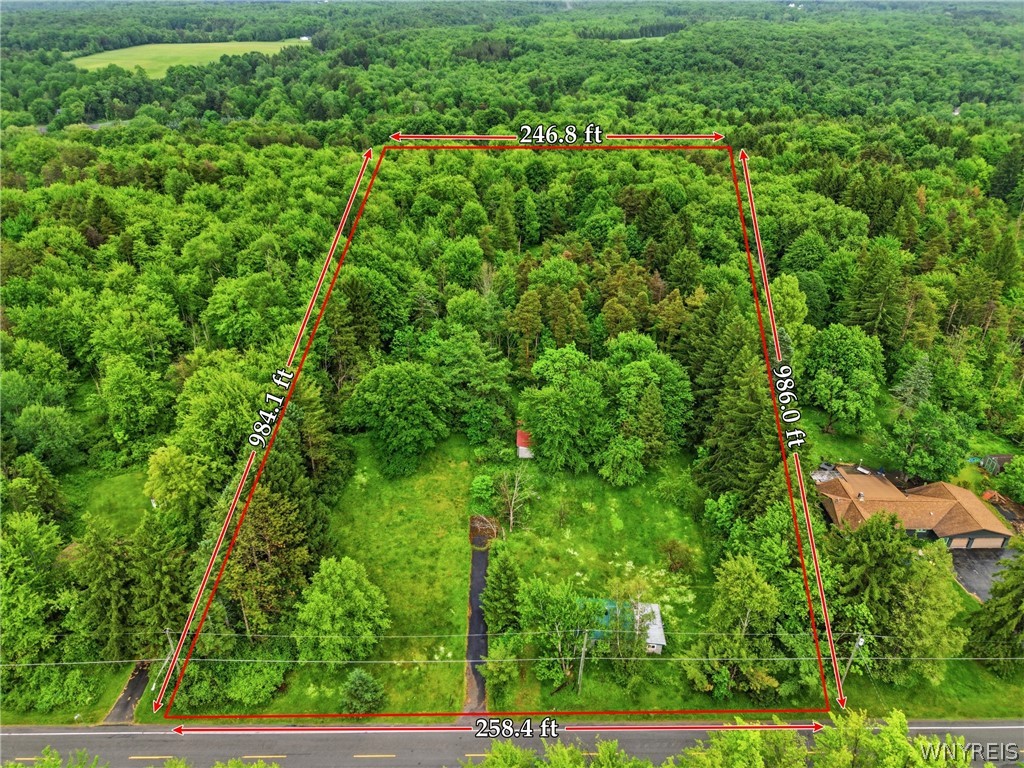 7499 Irish Road Colden, NY 14170 - Photo 2 of 10