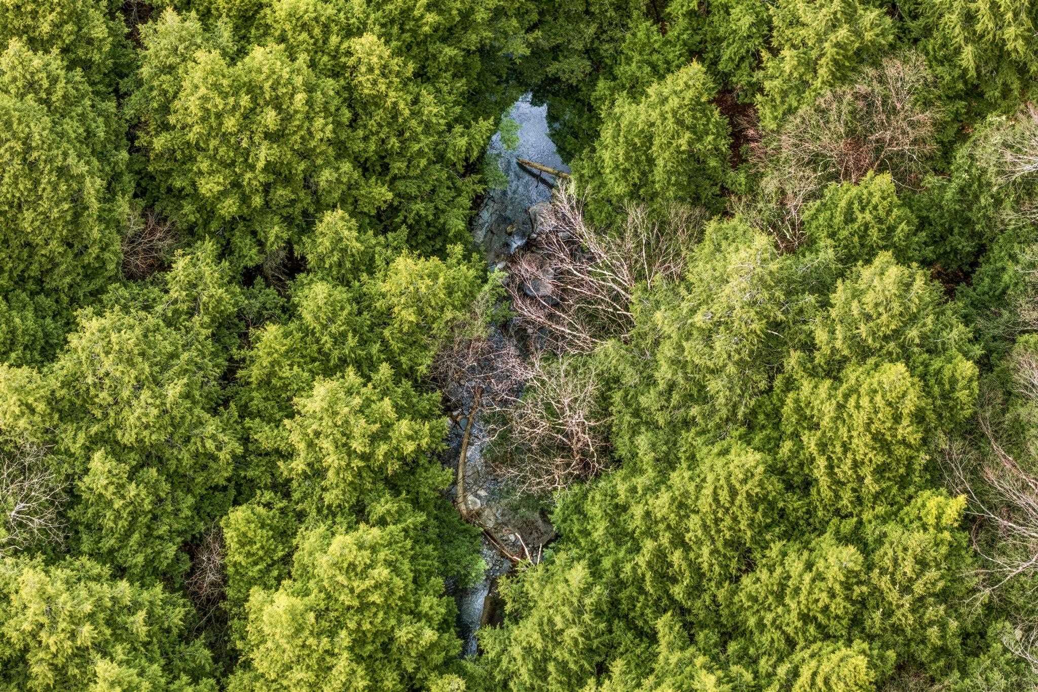 0 Birdseye Road Castleton, VT 05735 - Photo 15 of 19