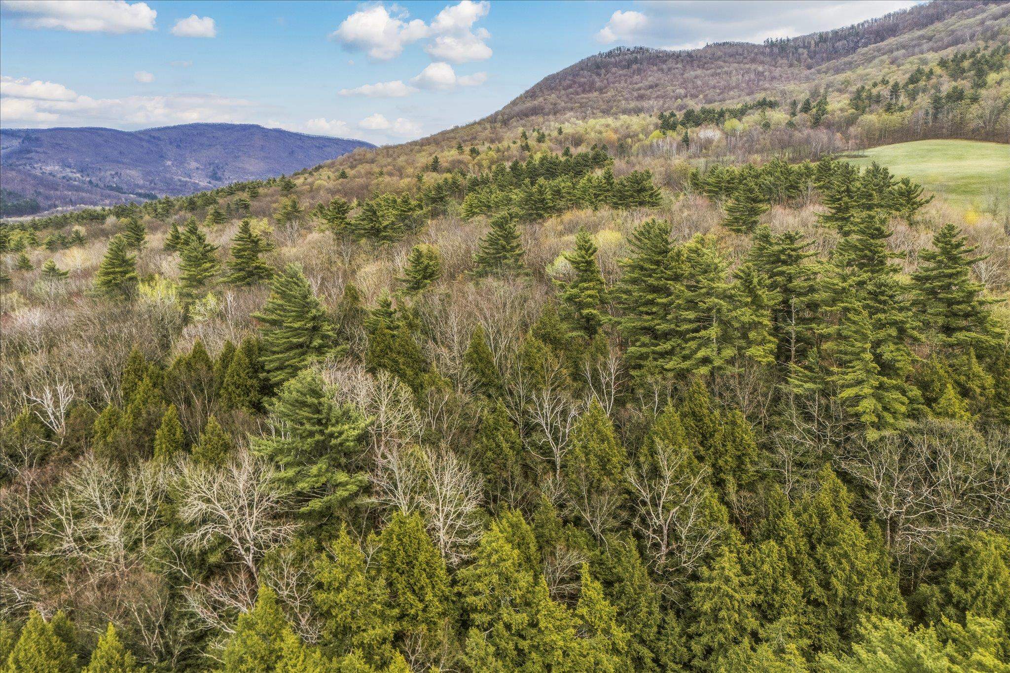 0 Birdseye Road Castleton, VT 05735 - Photo 16 of 19