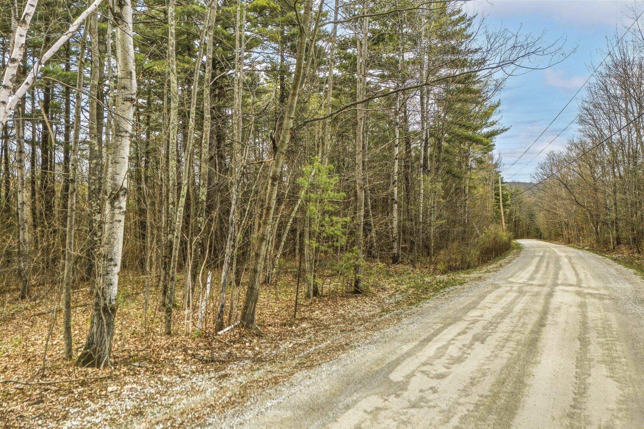0 Birdseye Road Castleton, VT 05735 - Photo 17 of 19